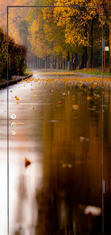 Фото «Дверь с фотопечатью №5»